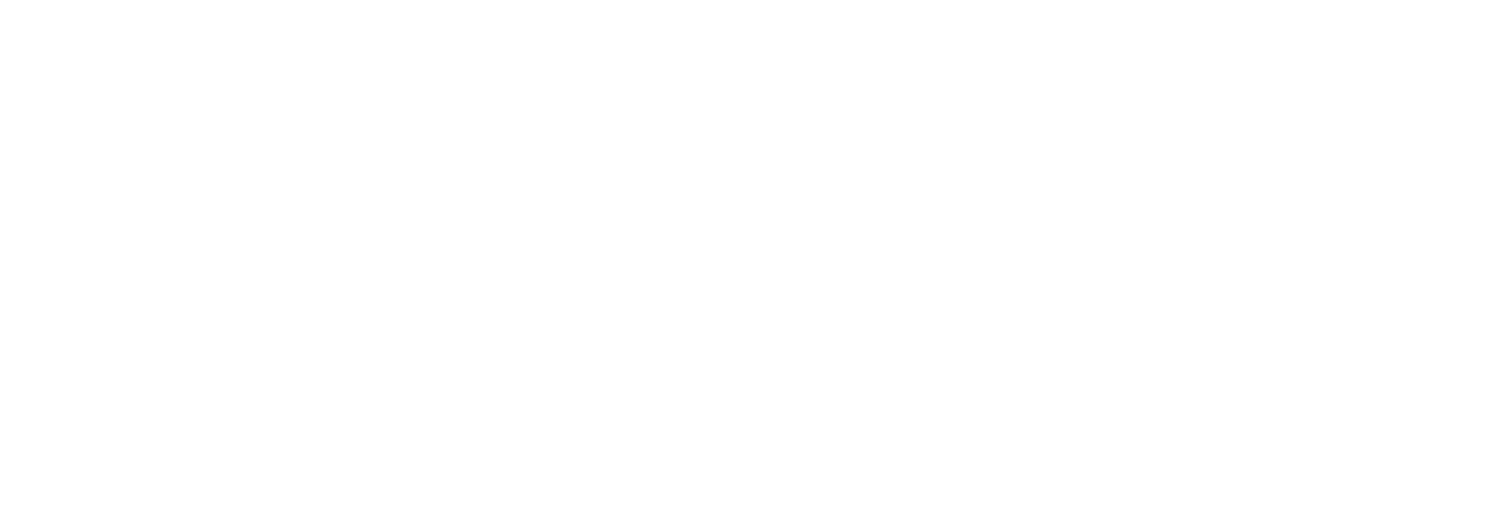 RDS Automotive